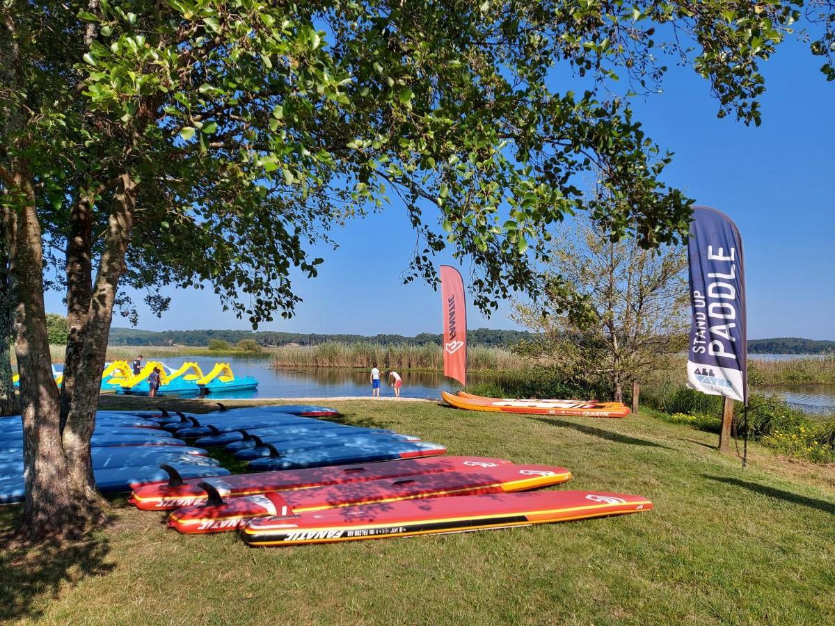 T2, 50M Du Lac, Piscine, Wifi, Jardin Terrasse Sans Vis-A-Vis, 1 A 4 Pers Aureilhan  Εξωτερικό φωτογραφία